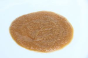 Puré concentrado de Xoconostle  - GAIA fruits